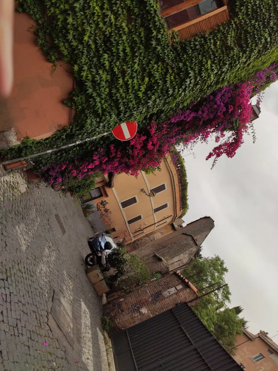 A quiet street in Trastevere, Rome, where to stay in rome for the opera